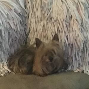 Meet your Posher, Denise